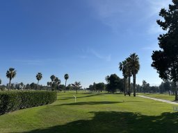 234-13-01-2026 IMG_3430